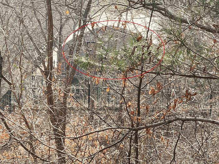 본건 토지 기호(1) 지상 타인소유 제시외 건물