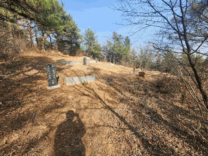 본건 토지 기호(1) 지상 제시외 분묘(분묘 일부 산53-10번지 지상 소재)