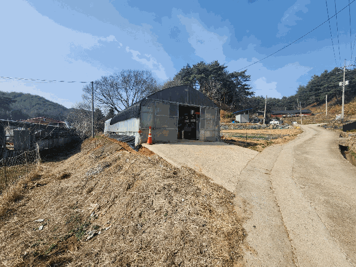 본건 토지 기호(4), (6) 양 지상 타인소유 비닐하우스