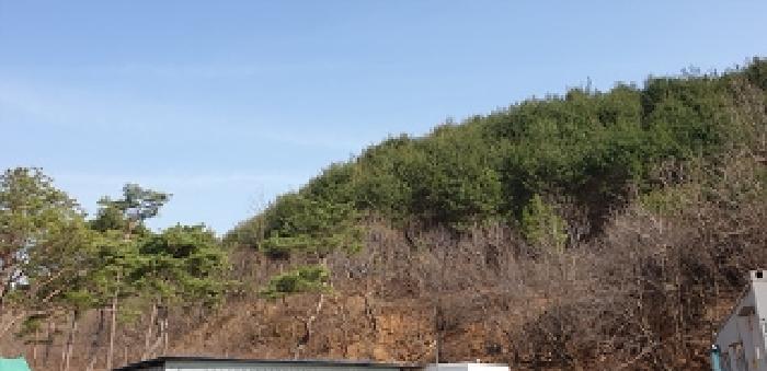 1번 부동산 모습