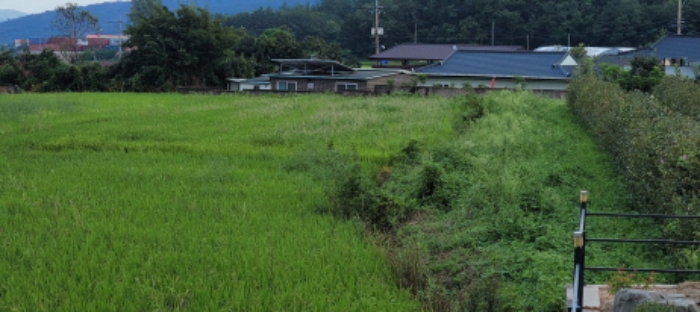 보손리 627