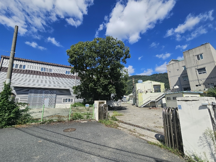 【 기호1) 전경 】