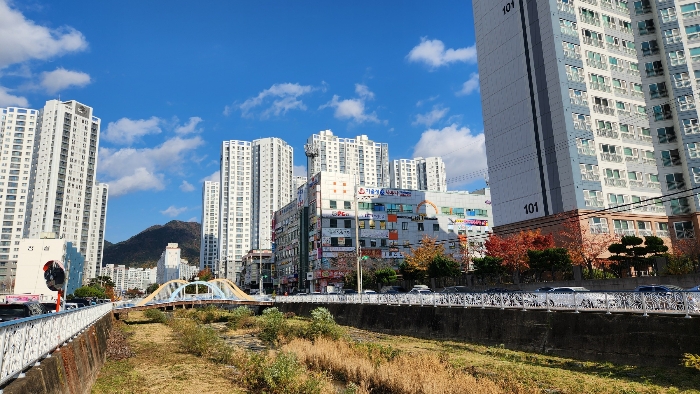 대상물건 부근전경