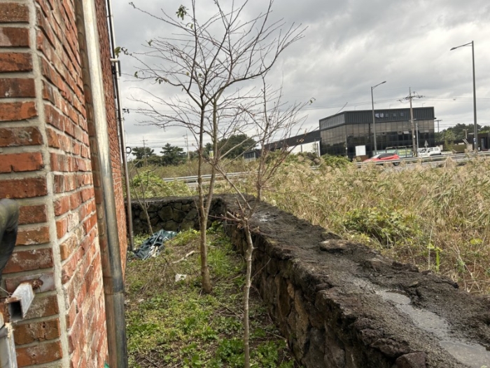 제시외물건(㉤)