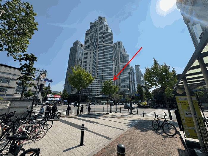 【 대상전경 】