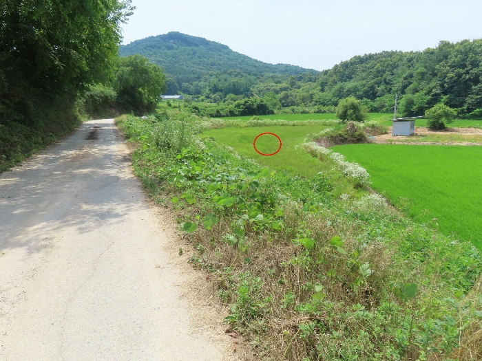 기호(15)
