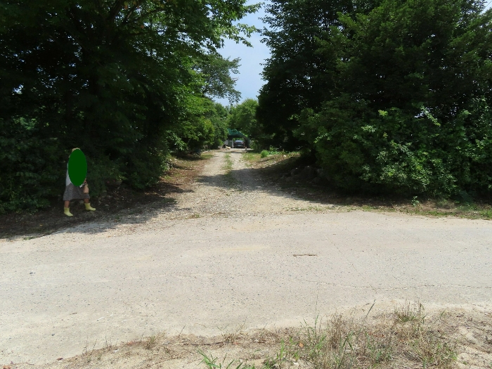 기호(19) 중앙 부분