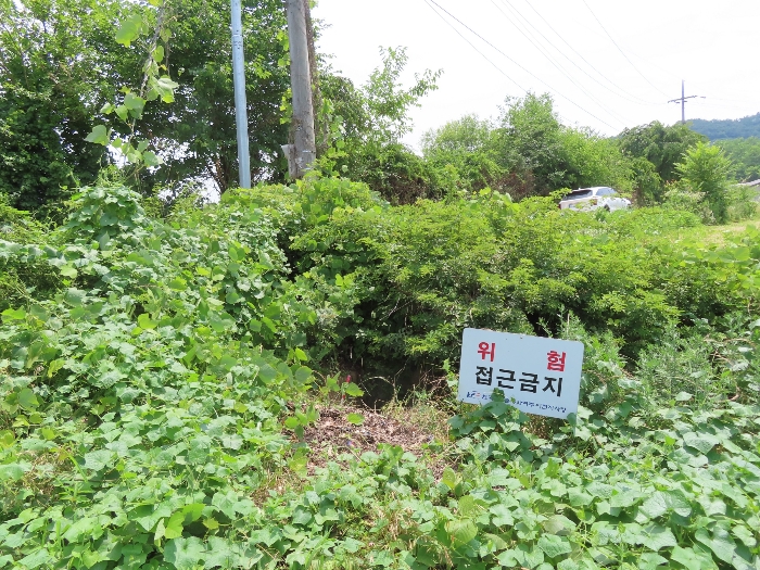 기호(19) 남동측 부분