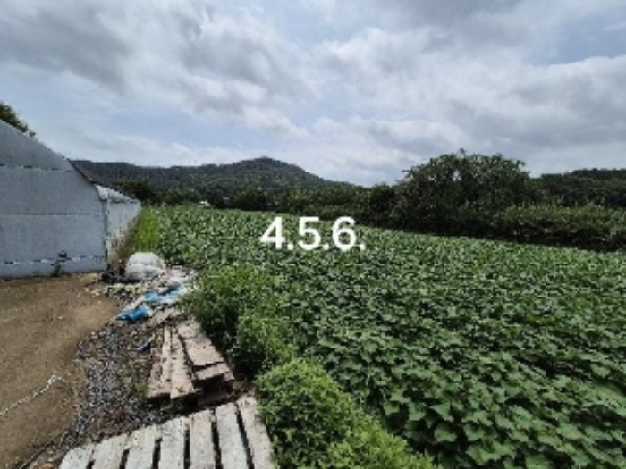 목록 4.5.6.
