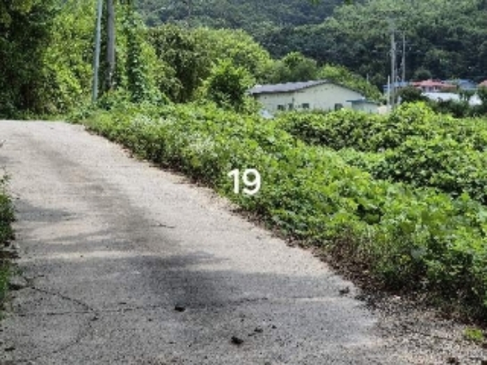 목록 19.