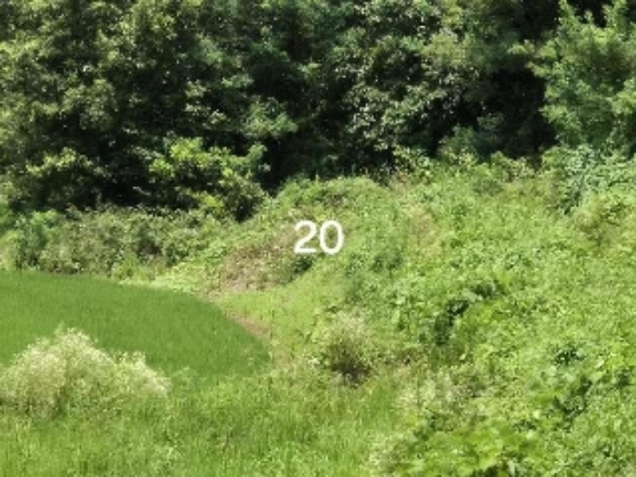 목록 20.