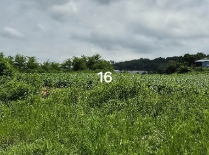 목록 16.