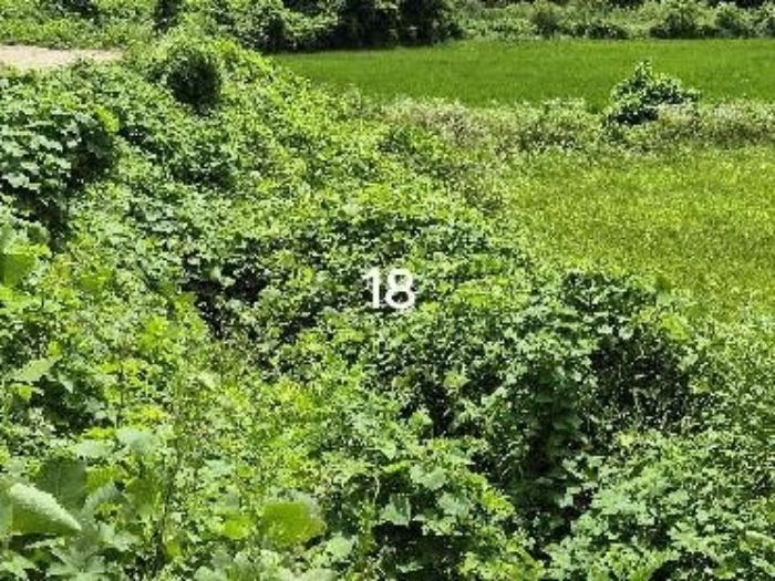 목록 18.