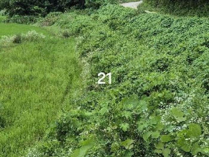 목록 21.