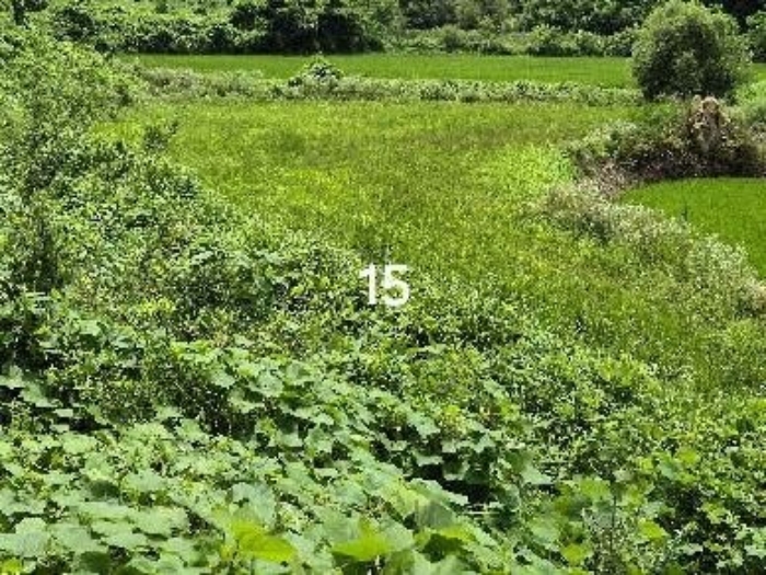목록 15.