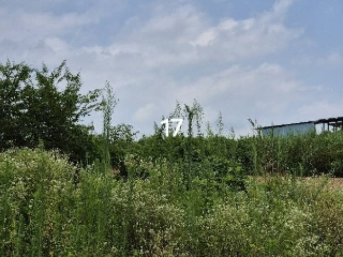 목록 17.