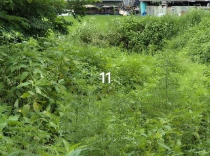 목록 11.