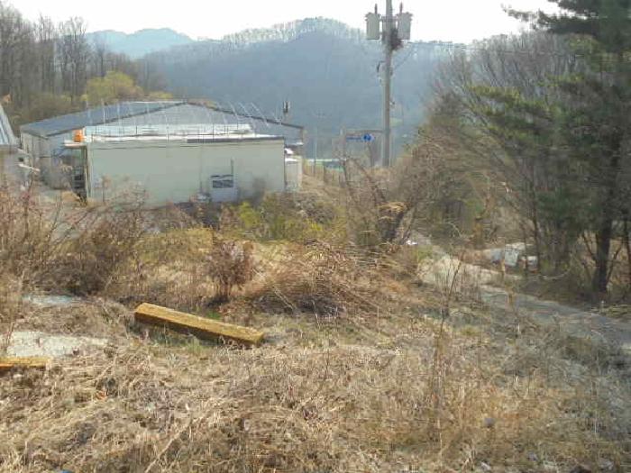 본건4