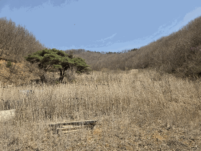 일련번호 1 전경