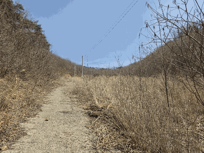 일련번호 1 전경