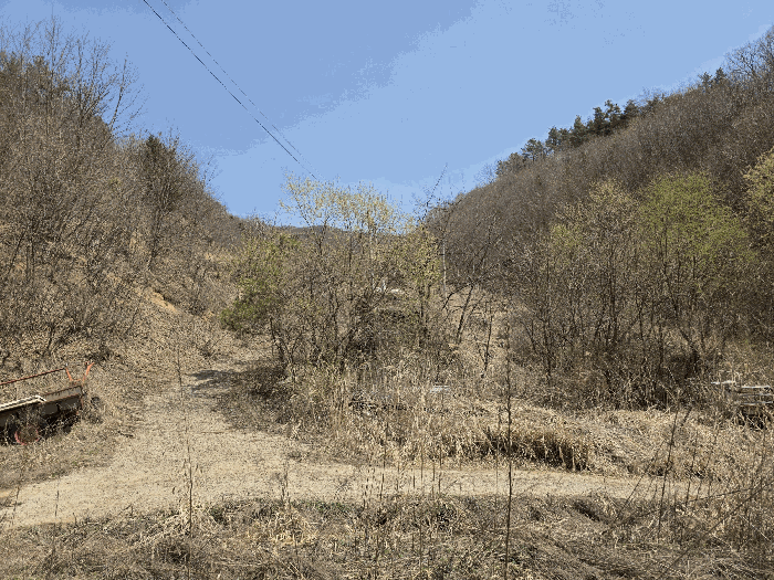 일련번호 1 전경