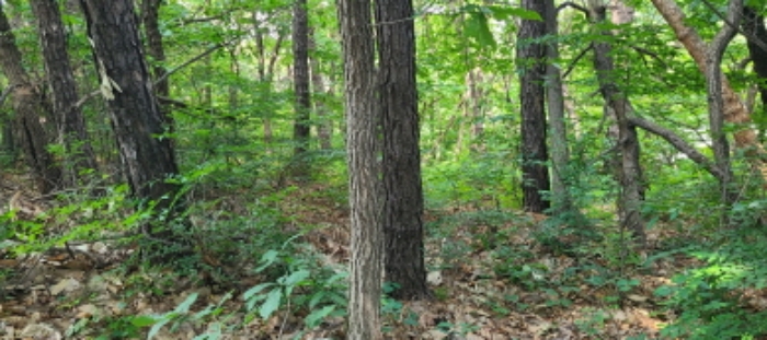 이건 목록 토지 전경(3)