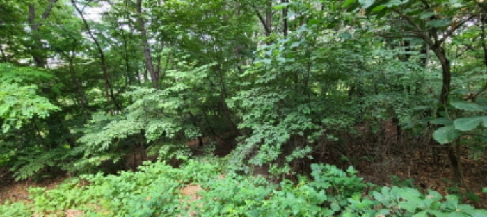 이건 목록 토지 전경(4)