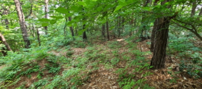 이건 목록 토지 전경(2)