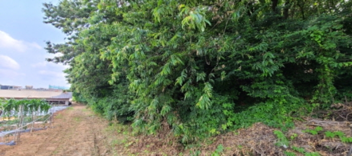 이건 목록 토지 전경(5)