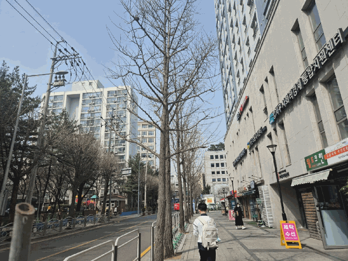 접면도로 및 주변환경