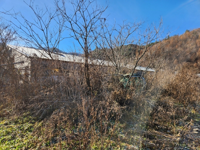 기호(2-1),(2-2),(2-3),(2-5),(2-6)