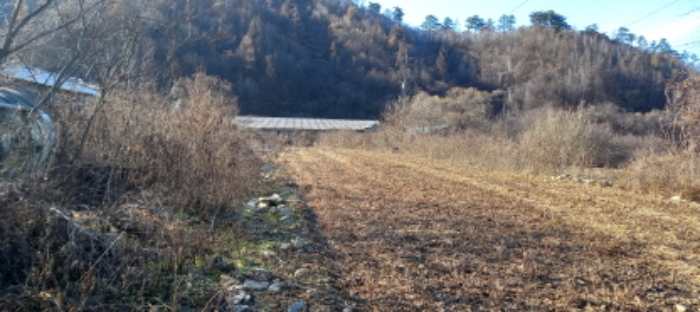 목록 1. 토지 및 목록 2. 단층축사 등