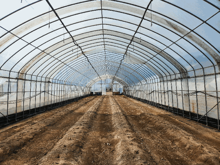 제시외건물㉡ 내