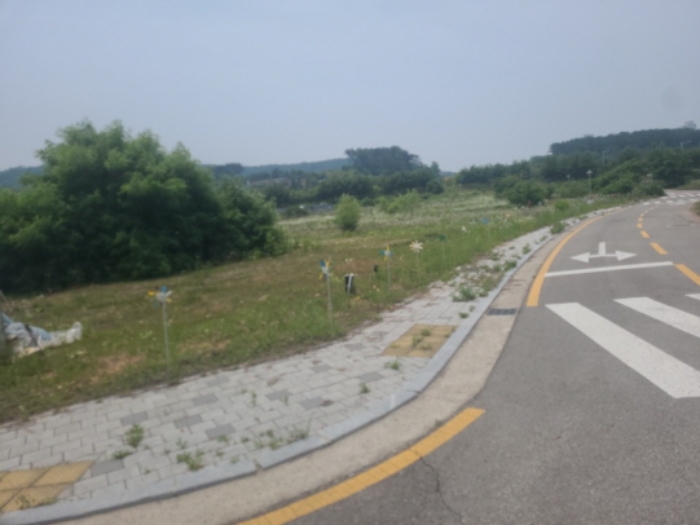 - 위 토지 전경(진입로 우측면에서 본 정면)