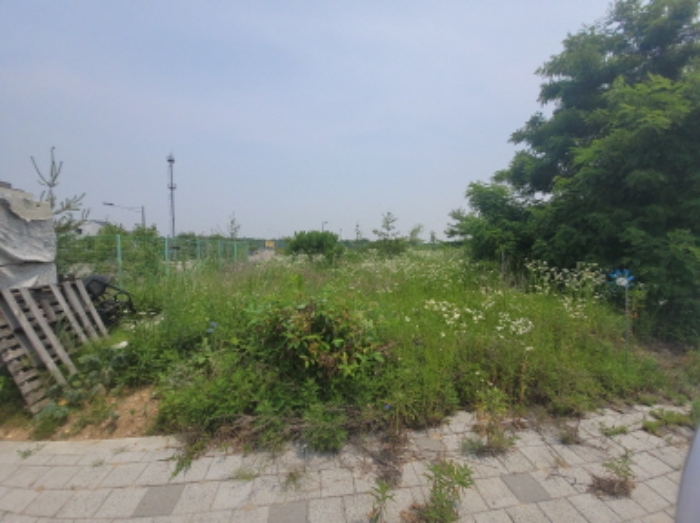 - 본건 토지(1289-10) 전경