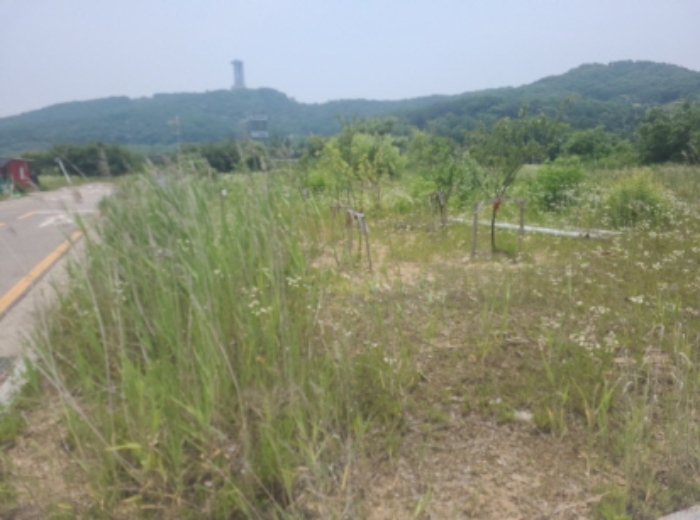 - 본건 토지(1289-96) 전경