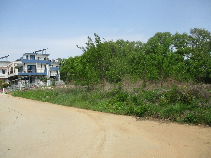 본건(기호1,2 토지)