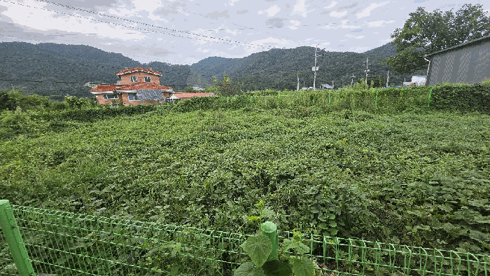 본건 기호(5) 사진