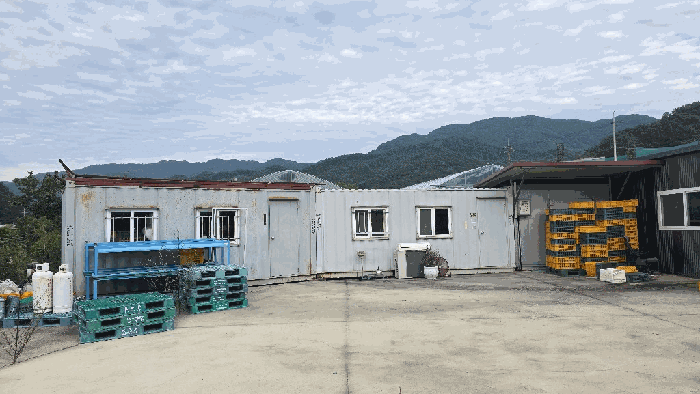 본건 컨테이너 사진