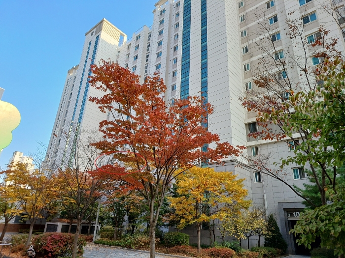 본건 전경(서측에서 촬영)