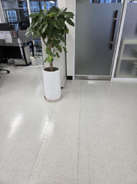 708호 경계벽 위치