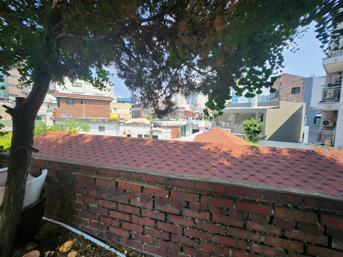 본건 전경-후면 촬영