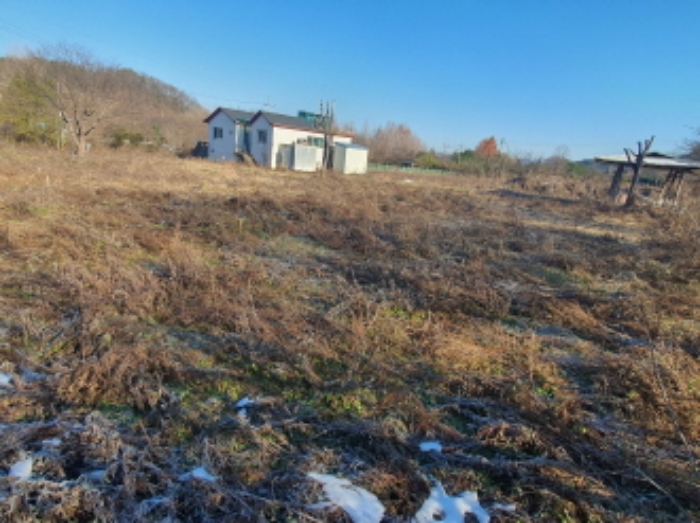 현장사진(토지, 건물 전경)