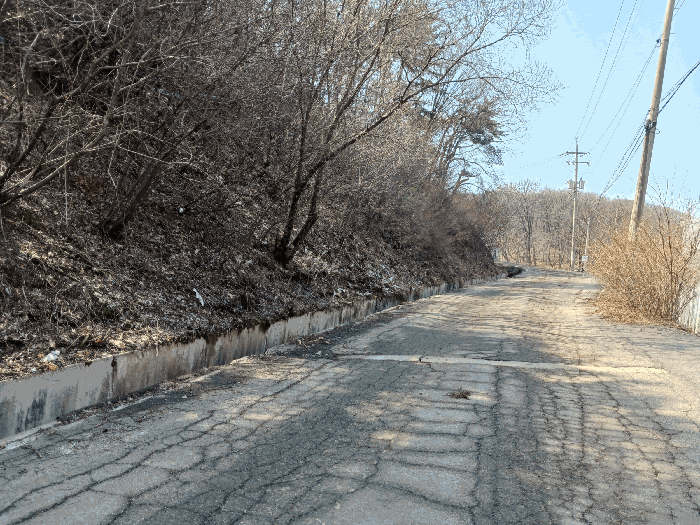 대상물건 입구 좌측 도로