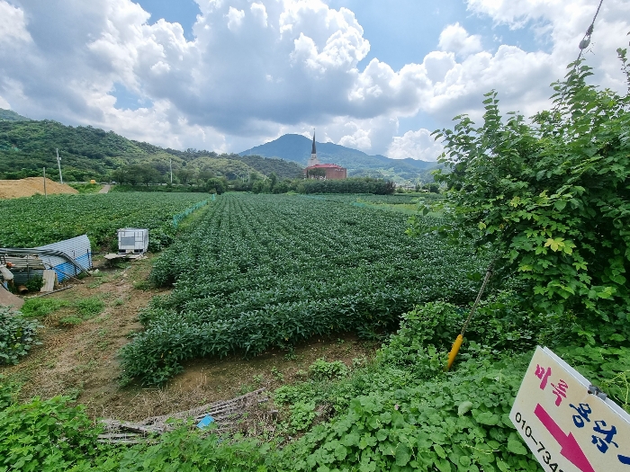 본건 전경(좌측 촬영)