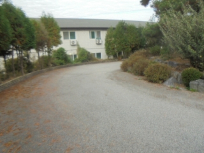 목적물 2번, 3번, 2~3번에 조경수