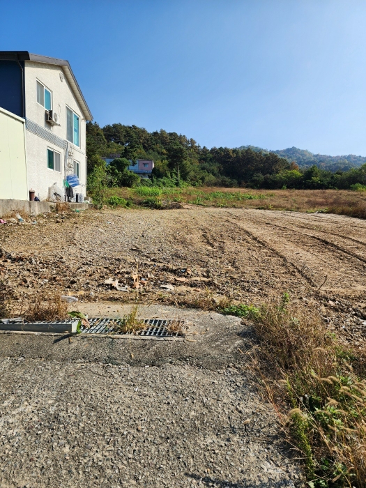 일련번호 (7) 토지 전경