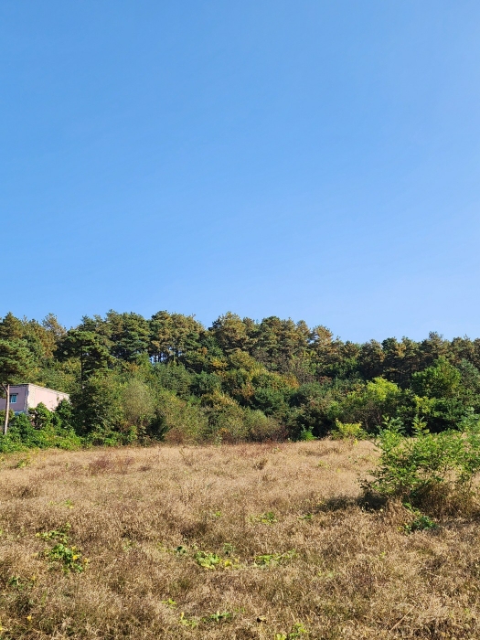 일련번호 (10) 토지 전경