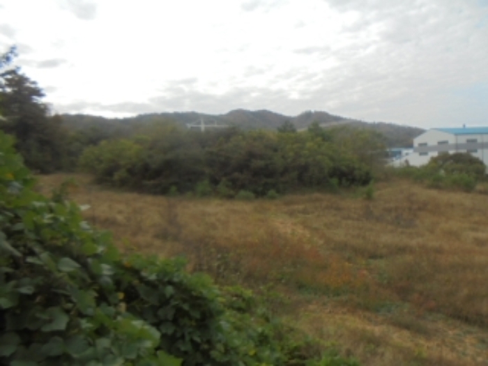 목적물 9번에 조경수