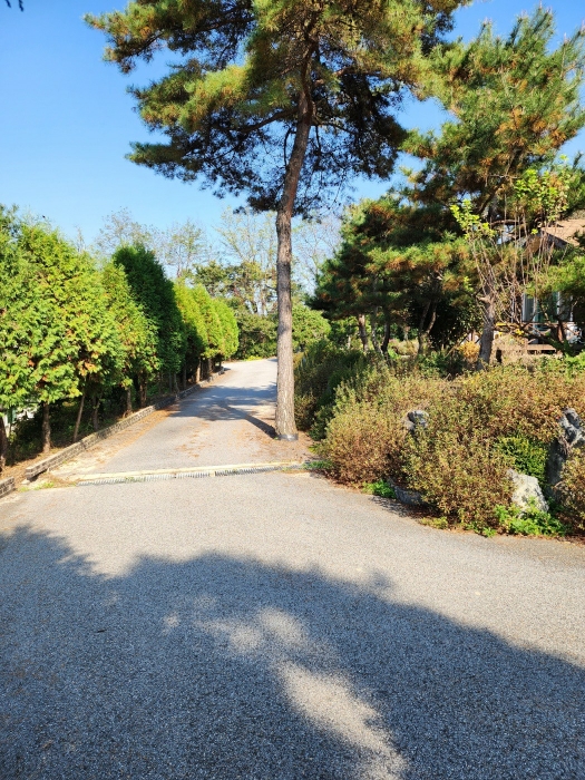 일련번호 (2,3) 토지 전경